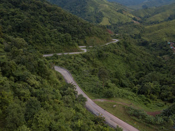 High angle view of road passing through forest