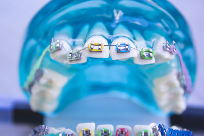 Close-up of artificial teeth