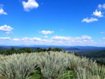 Scenic view of mountains against cloudy sky