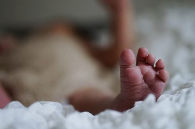 Low section of baby lying on floor