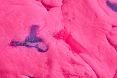 Macro shot of pink flower petals