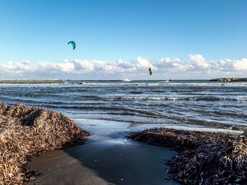 Scenic view of sea against sky with kites