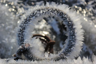 Close-up of frost during winter