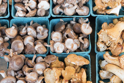 High angle view of mushrooms in container for sale