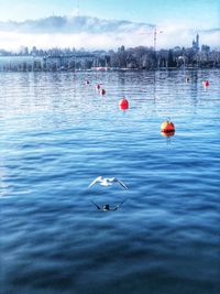 Ducks swimming in lake against sky