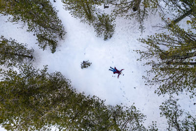 Low angle view of airplane flying against sky