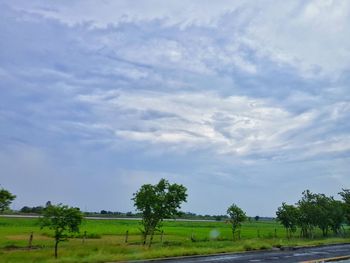 Scenic view of field against sky