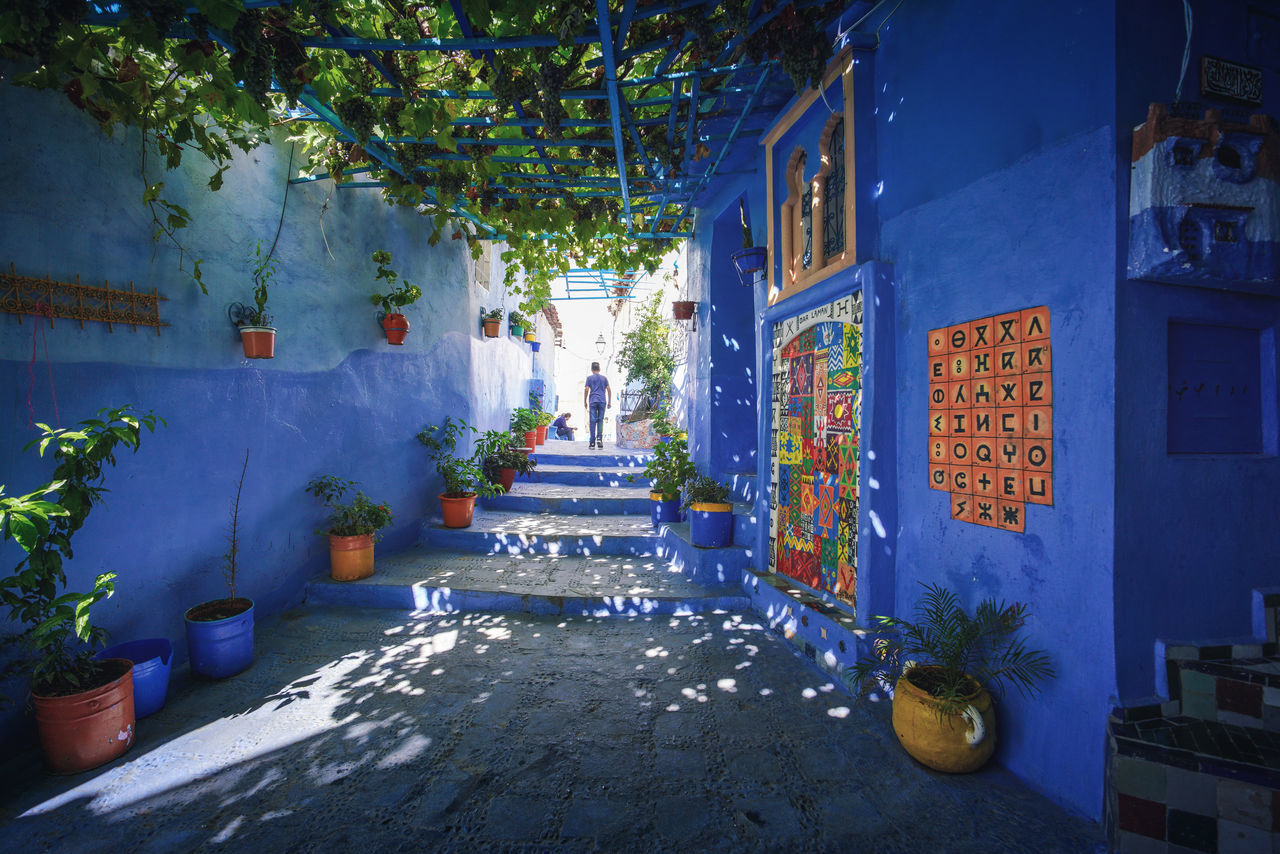 "The Blue City" We travelled from Sevilla to Tarifa, then took a ferry to Tangier, then a taxi to Chefchaouen, Morocco. EyeEmNewHere a new beginning Chefchaouen Morocco Beauty Blue City Blue Medina Plant Architecture Potted Plant City Building Flower Pot Tree Nature Digital Nomad Building Exterior Built Structure No People Outdoors Communication Day Growth Illuminated Text Flowering Plant Flower Residential District