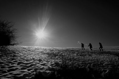 Silhouette people on shore against sky