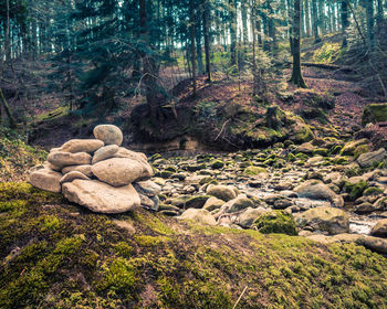 Stack of stones in forest