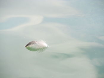 Close-up of water on beach