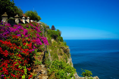 Scenic view of sea against blue sky