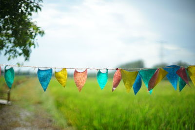 Clothes drying on clothesline against sky