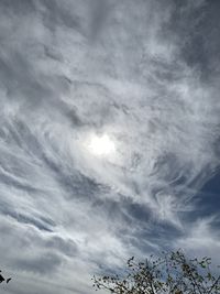 Low angle view of tree against sky