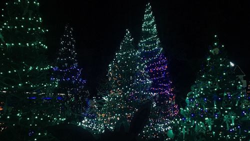 Illuminated christmas tree at night