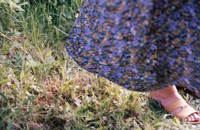Close-up of human hand on land