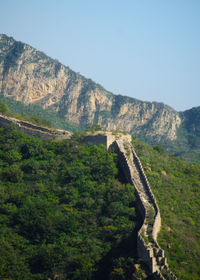 Narrow stairs along lush foliage