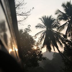 Low angle view of silhouette palm trees against sky