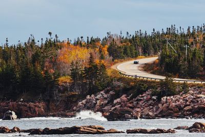 Scenic view of river amidst trees during autumn