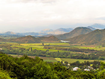 Scenic view of vineyard against sky