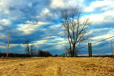 Bare trees on field against cloudy sky