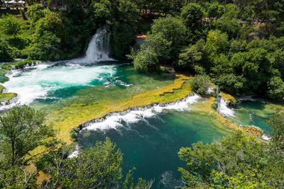 Scenic view of waterfall in forest