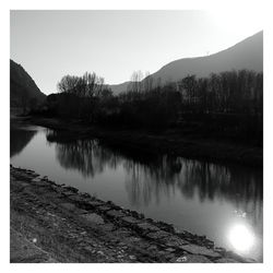 Reflection of trees in calm lake