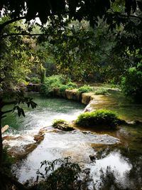 Scenic view of waterfall in forest