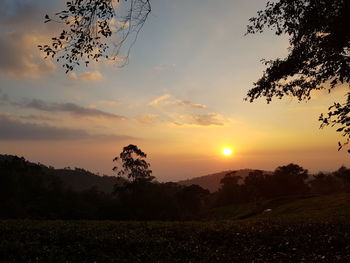 Scenic view of field against sky during sunset