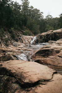 Scenic view of waterfall in forest against sky