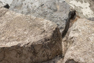 Close-up of a rock