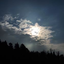 Low angle view of silhouette trees against sky