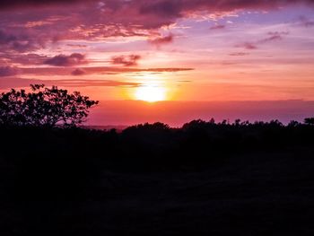 Silhouette trees on landscape against sky at sunset