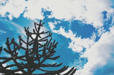 Low angle view of tree against sky