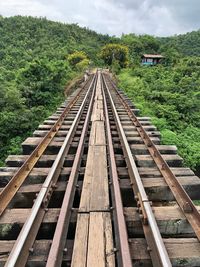 Railroad tracks amidst trees against sky