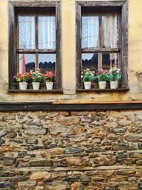 Low angle view of potted plants on window sill