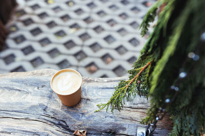 Coffee in eco friendly paper cup in fall or winter garden with pine branch