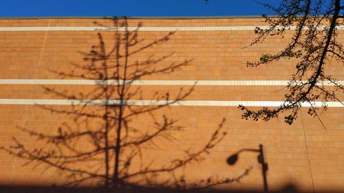 Low angle view of brick wall