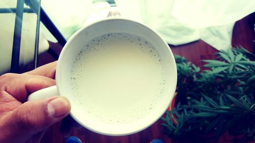 Close-up of hand holding drink