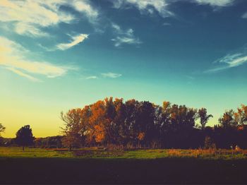 Silhouette trees against sky during sunset