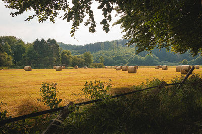 Hay bales on field against sky