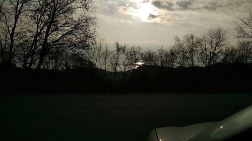 Bare trees on field at sunset