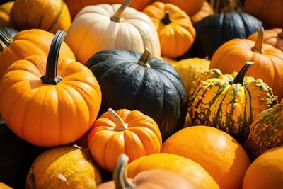 Full frame shot of pumpkins for sale at market