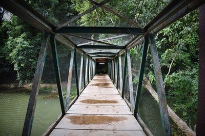 Footbridge amidst trees in forest