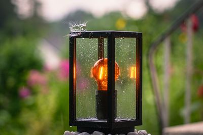 The garden lamp illuminates it and gives it beauty and relaxation