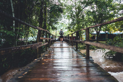 Footbridge amidst trees in forest during rainy season