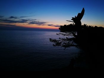 Silhouette hand by sea against sky during sunset