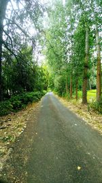 Empty road along trees in forest