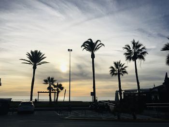 Silhouette palm trees against sky during sunset