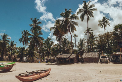 Coconut palm trees on beach against sky